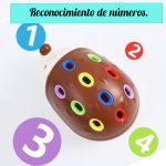 Puercoespín de encaje - Imagen 2