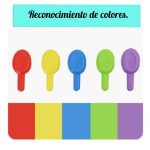 Puercoespín de encaje - Imagen 3