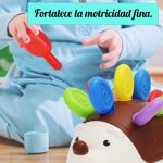 Puercoespín de encaje - Imagen 4